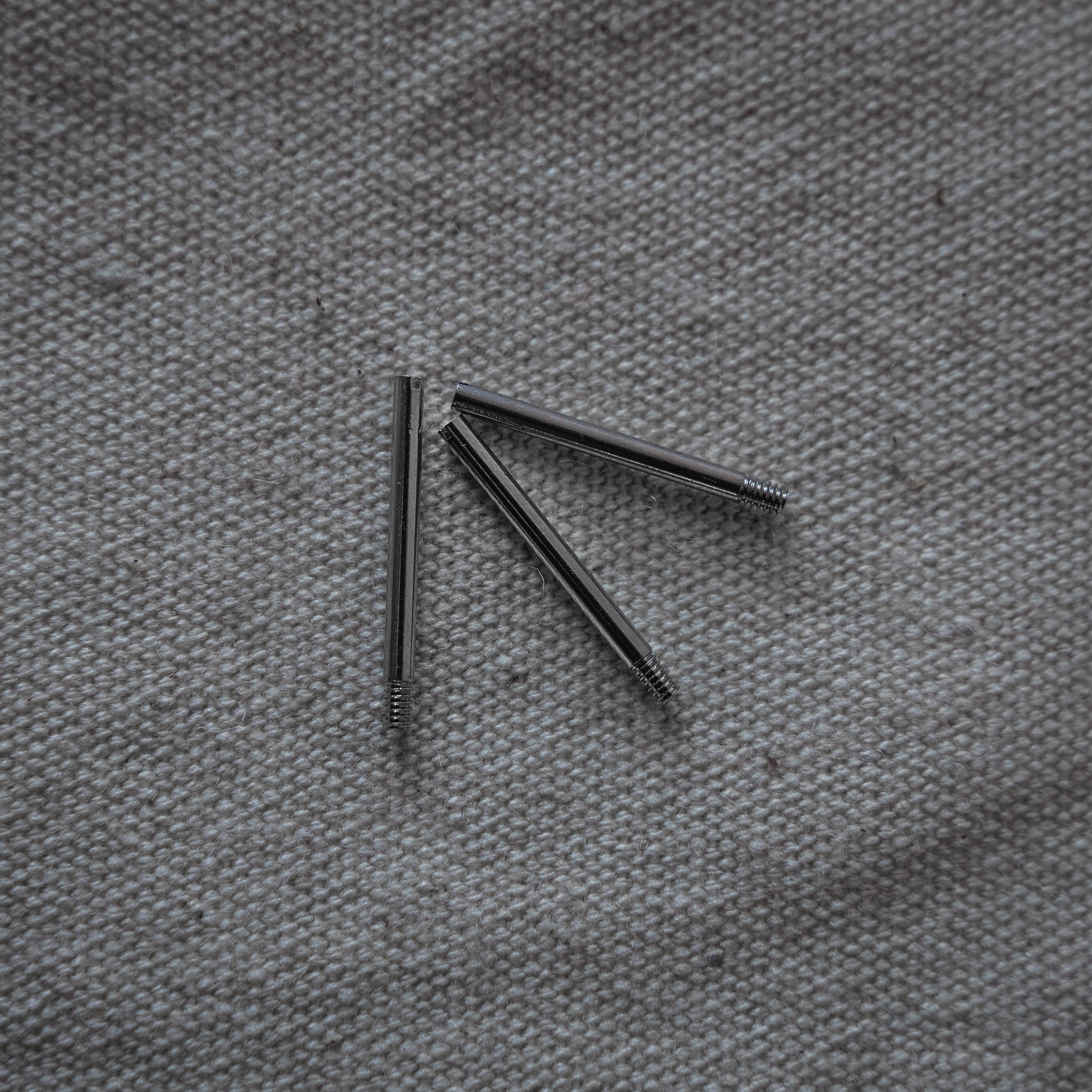 Tudor Bracelet Screws