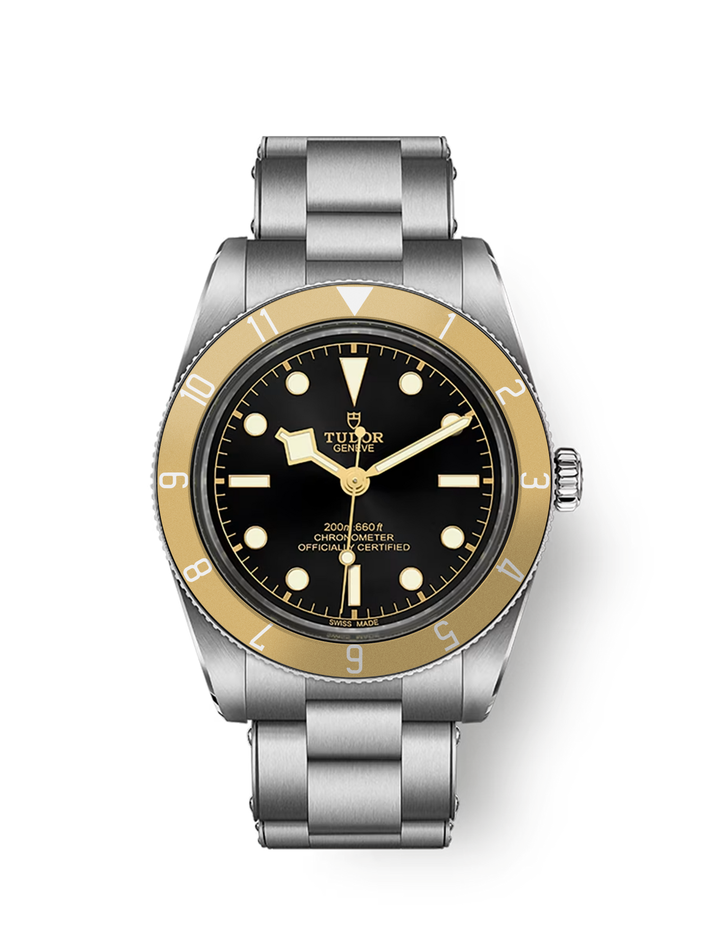Bespoke 12HR GMT Bezel for the Black Bay 54