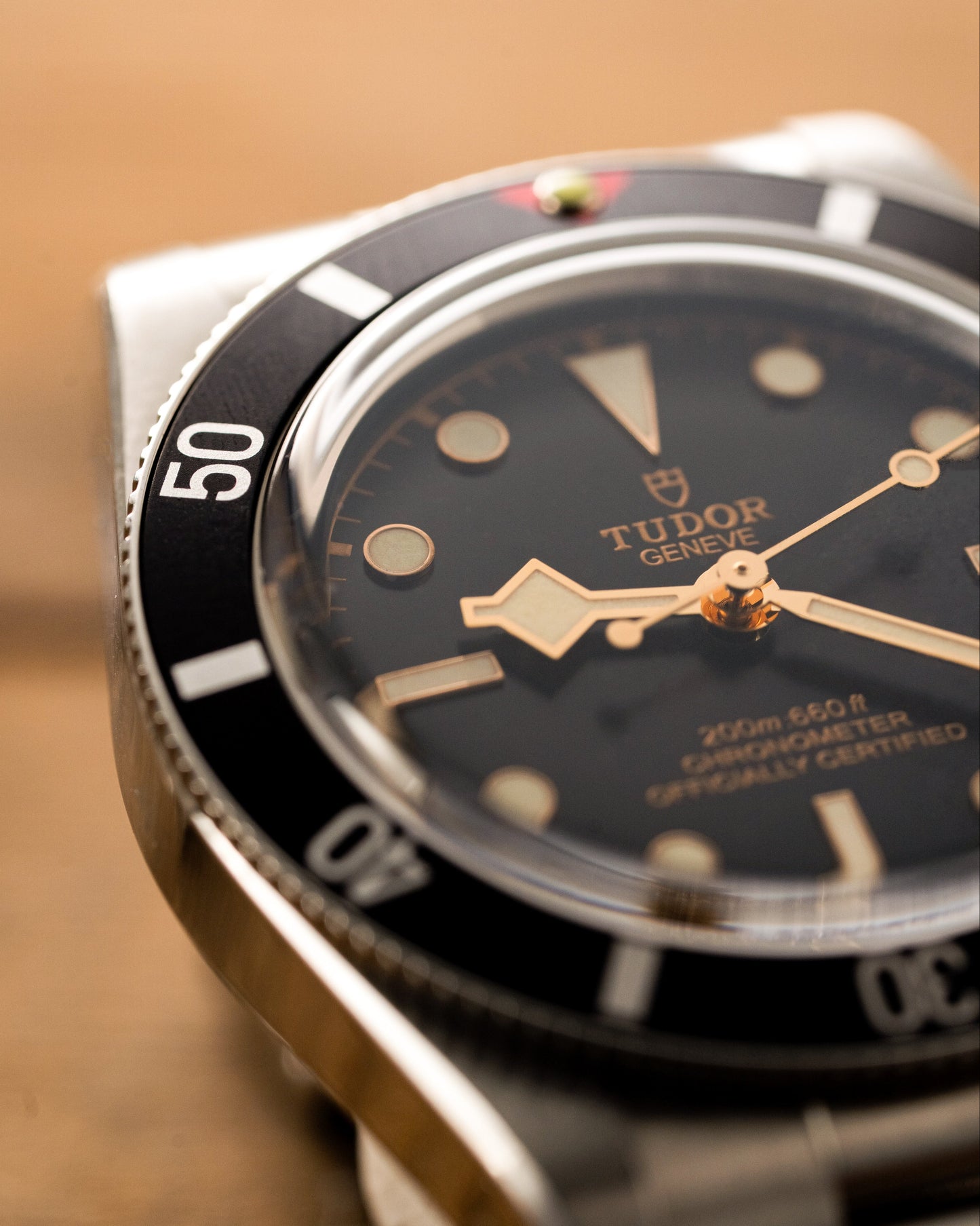 Close-up of a Tudor watch with a blurred background