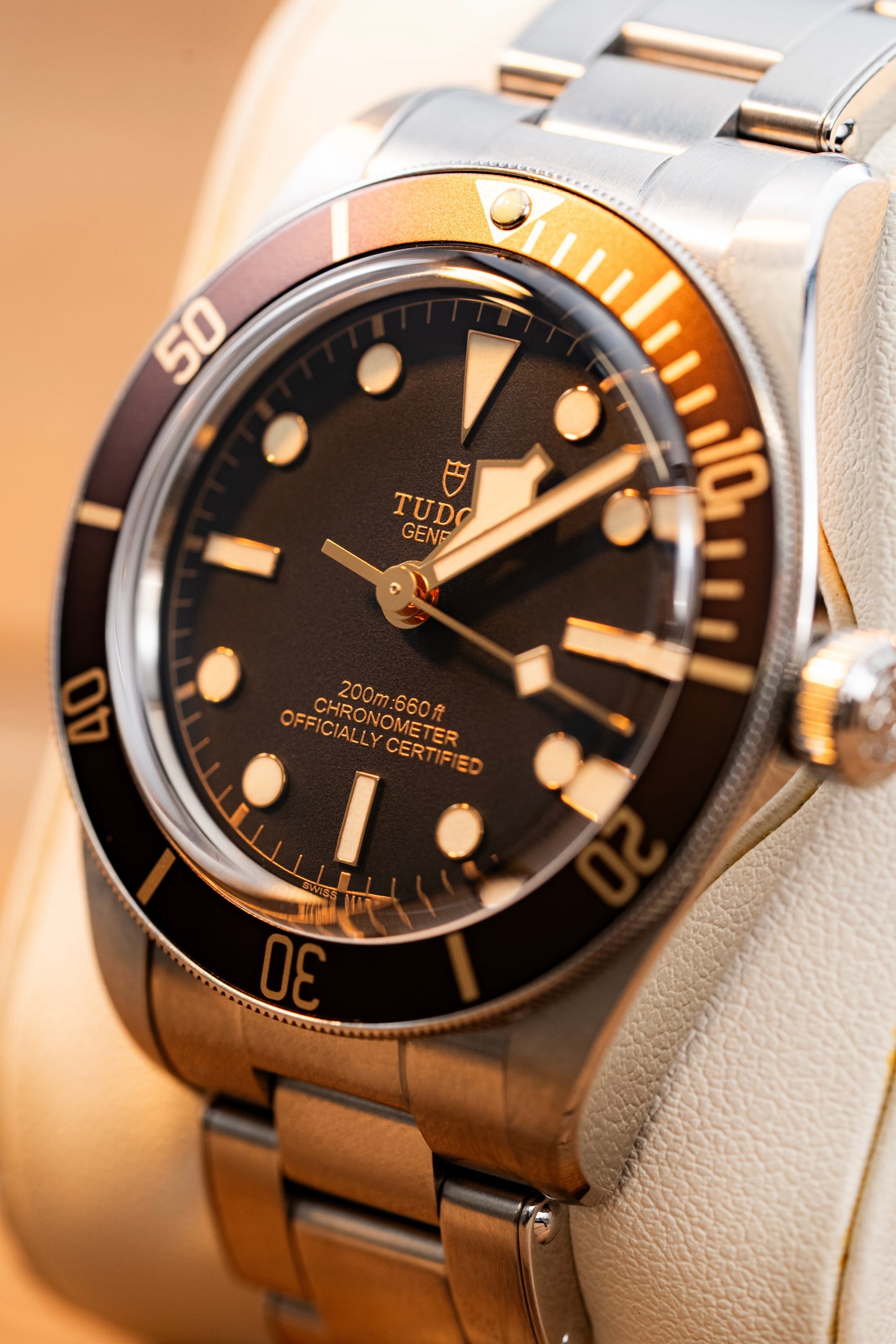 Lunette GMT de précision Steel Reef "Big Blue"