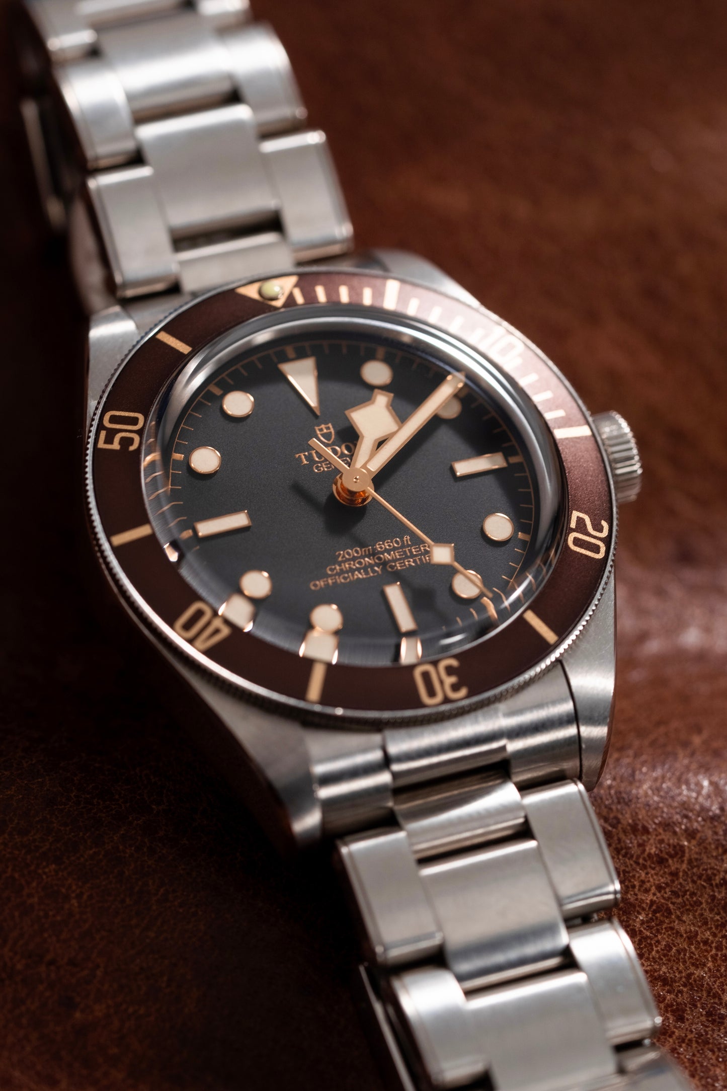 Lunette GMT de précision Steel Reef "Big Blue"