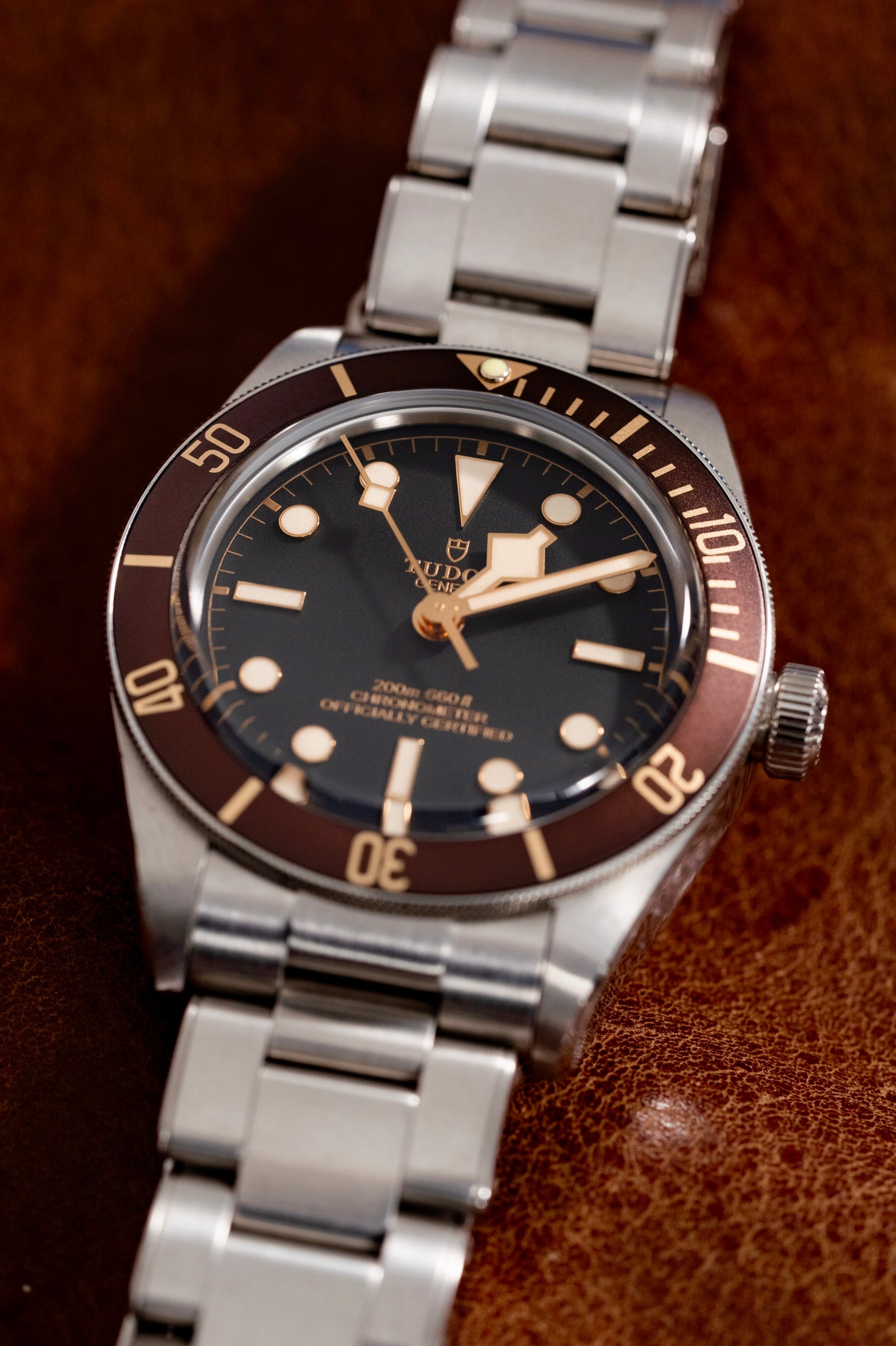 Lunette GMT de précision Steel Reef "Big Blue"