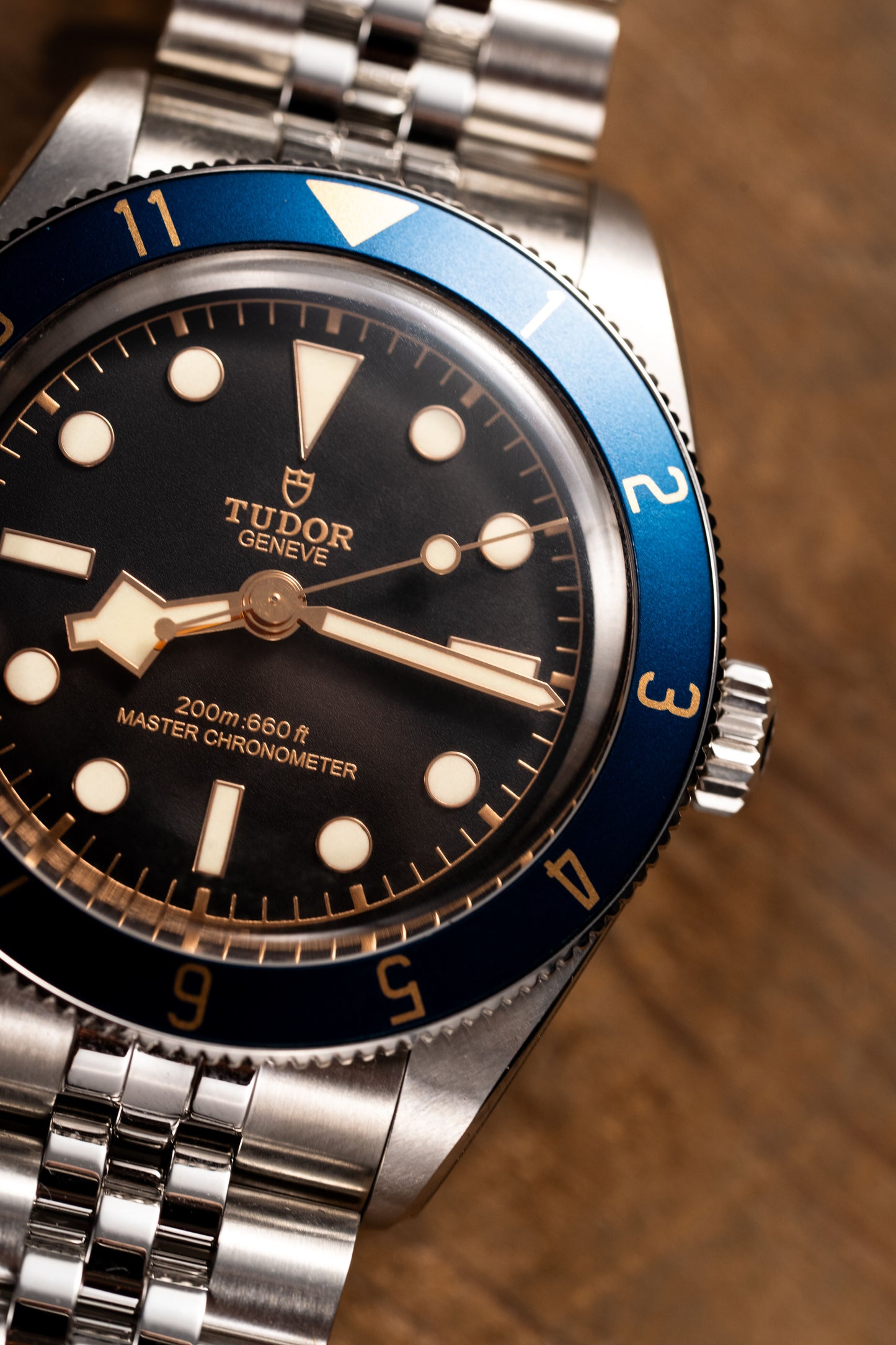 Meridian - Lunette GMT 12 heures (Compatible avec Black Bay 58)