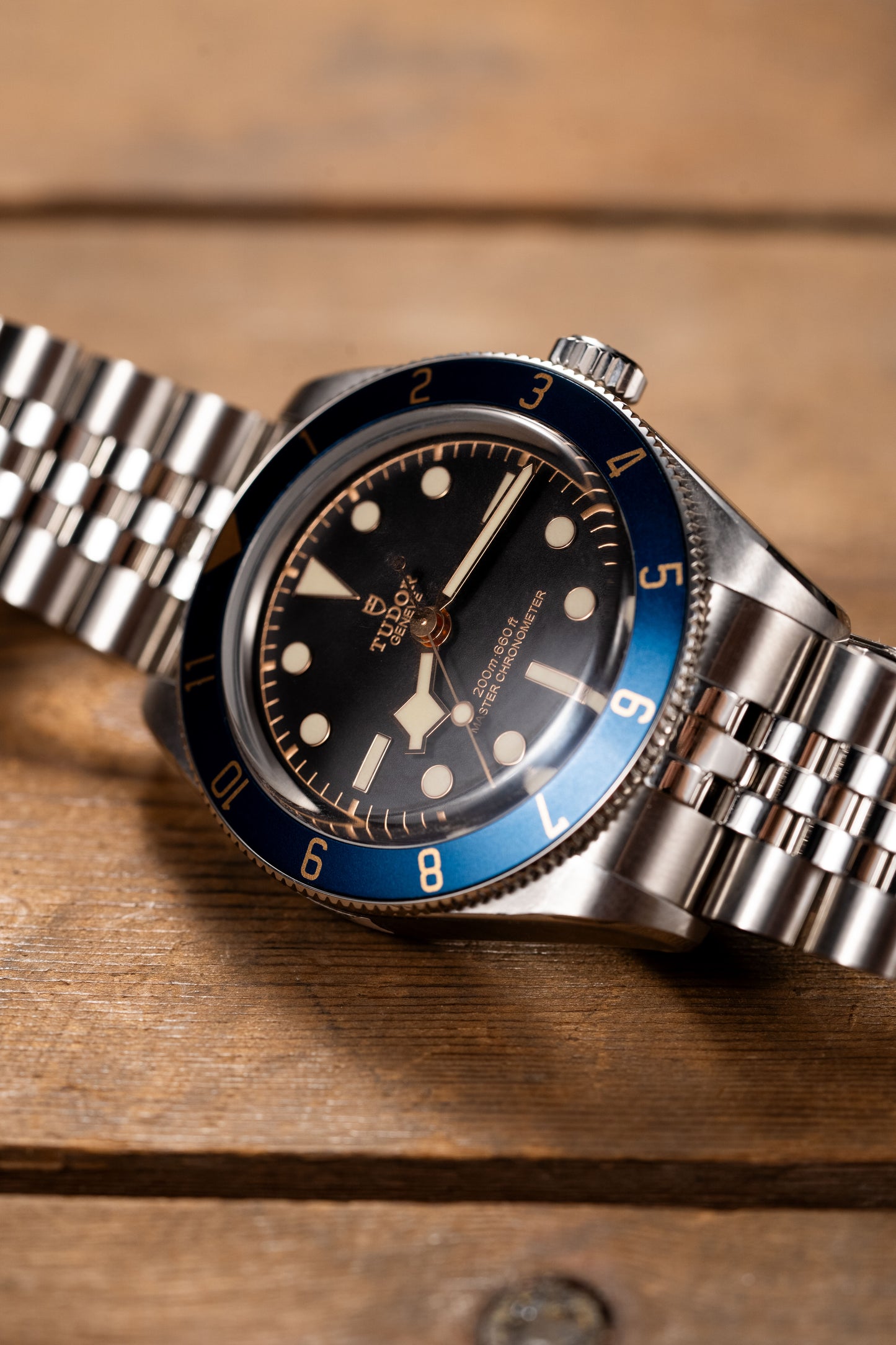 Meridian - Lunette GMT 12 heures (Compatible avec Black Bay 58)