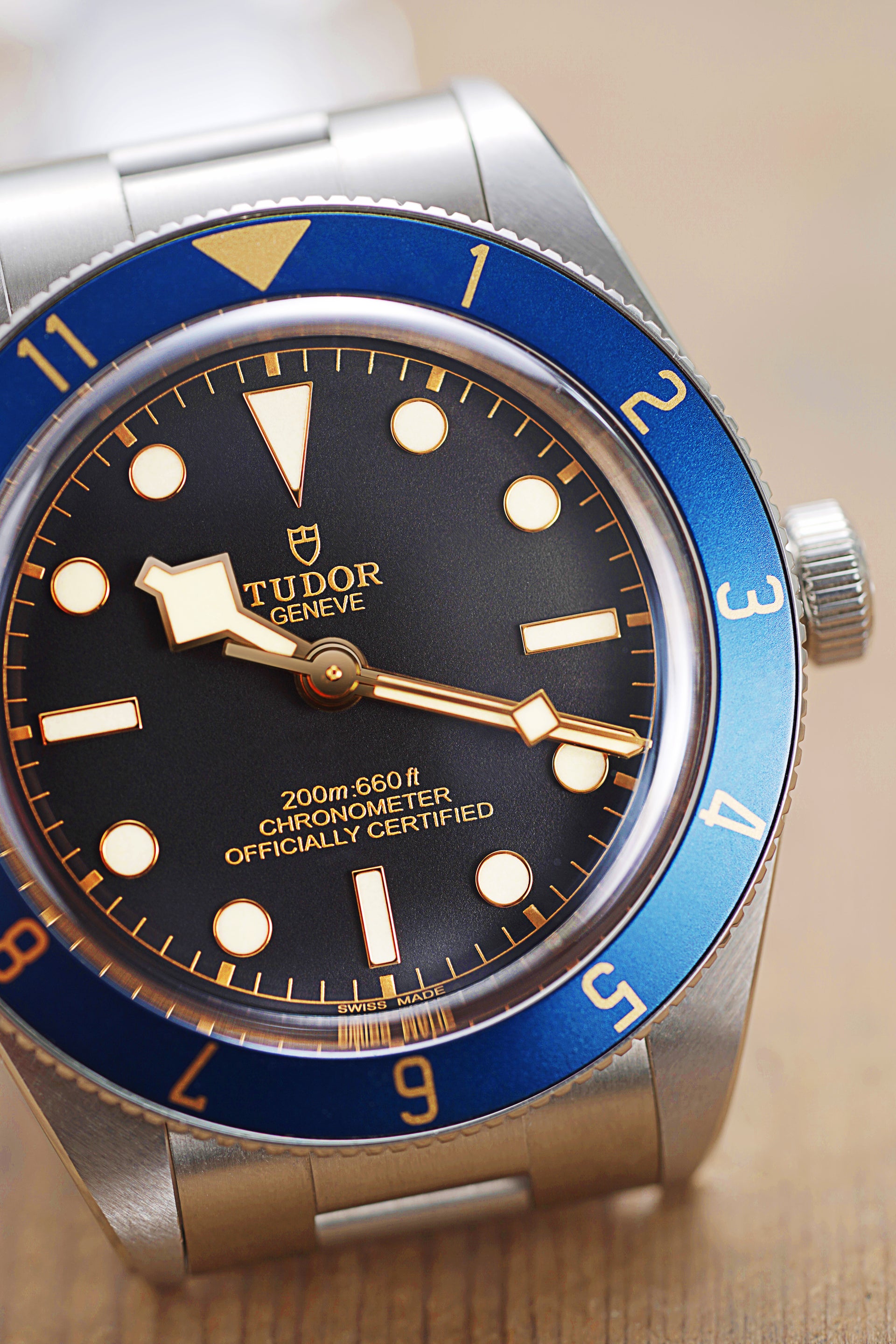 Meridian - Lunette GMT 12 heures (Compatible avec Black Bay 58)