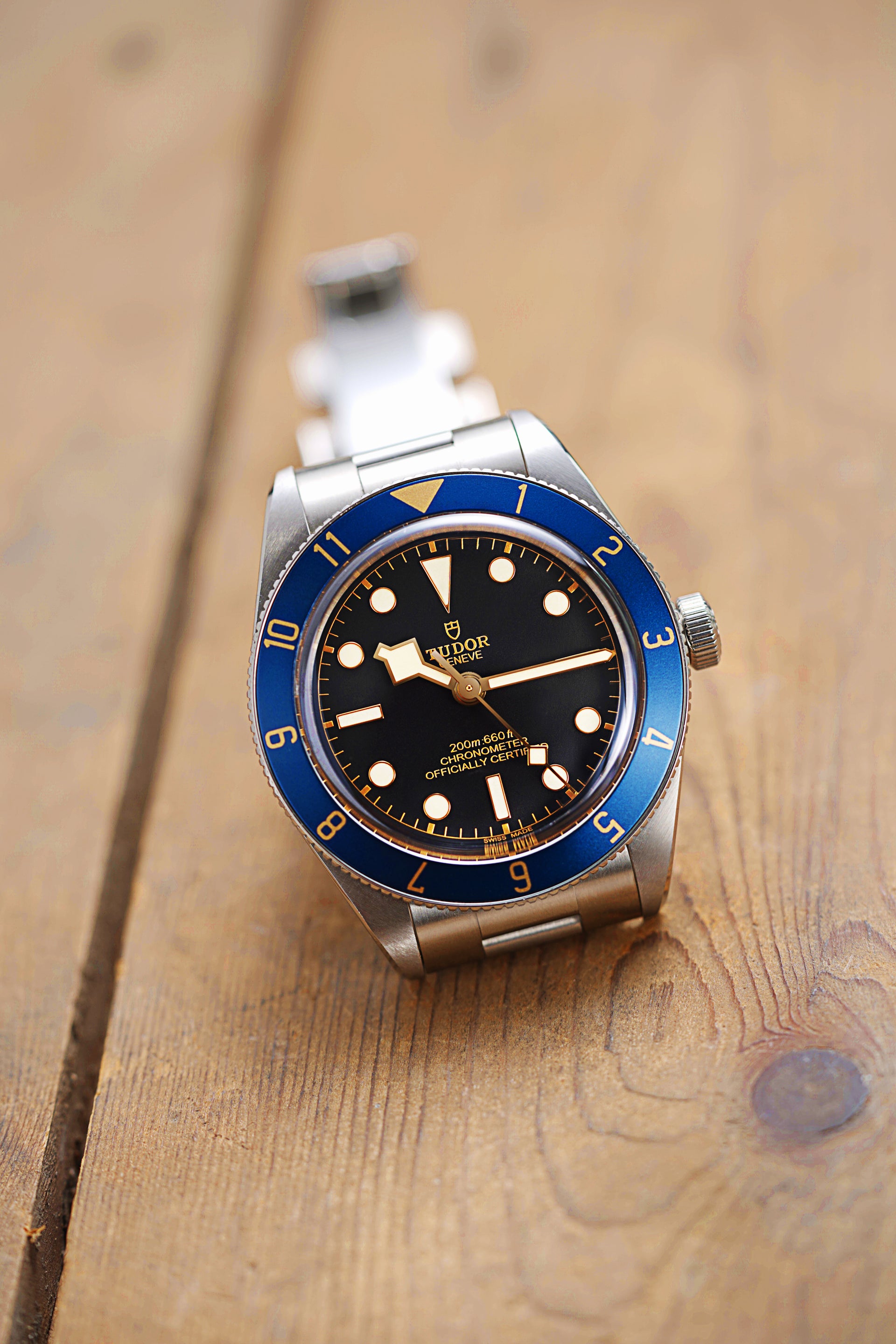 Meridian - Lunette GMT 12 heures (Compatible avec Black Bay 58)