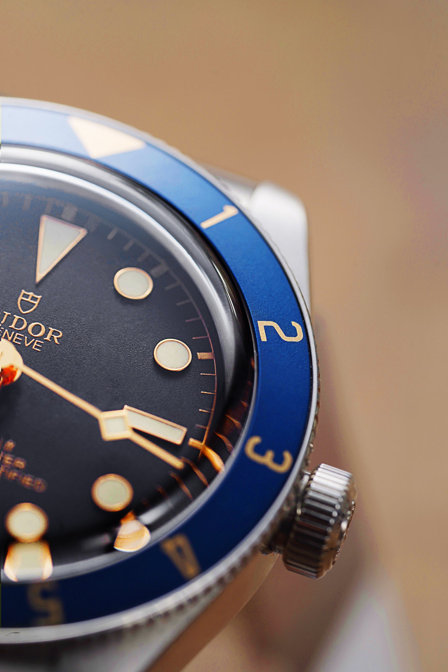 Meridian - 12-Hour GMT Bezel (Compatible with Black Bay 58)