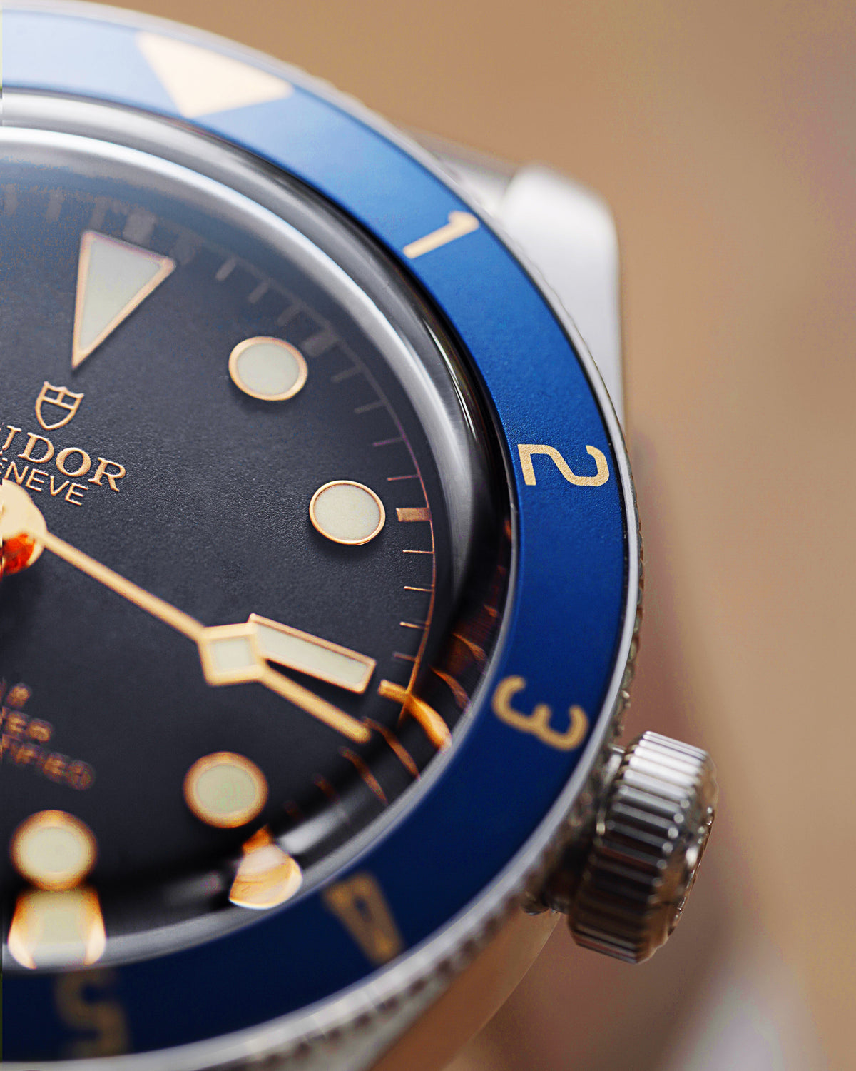Close-up of a Tudor watch with blue bezel and black dial.