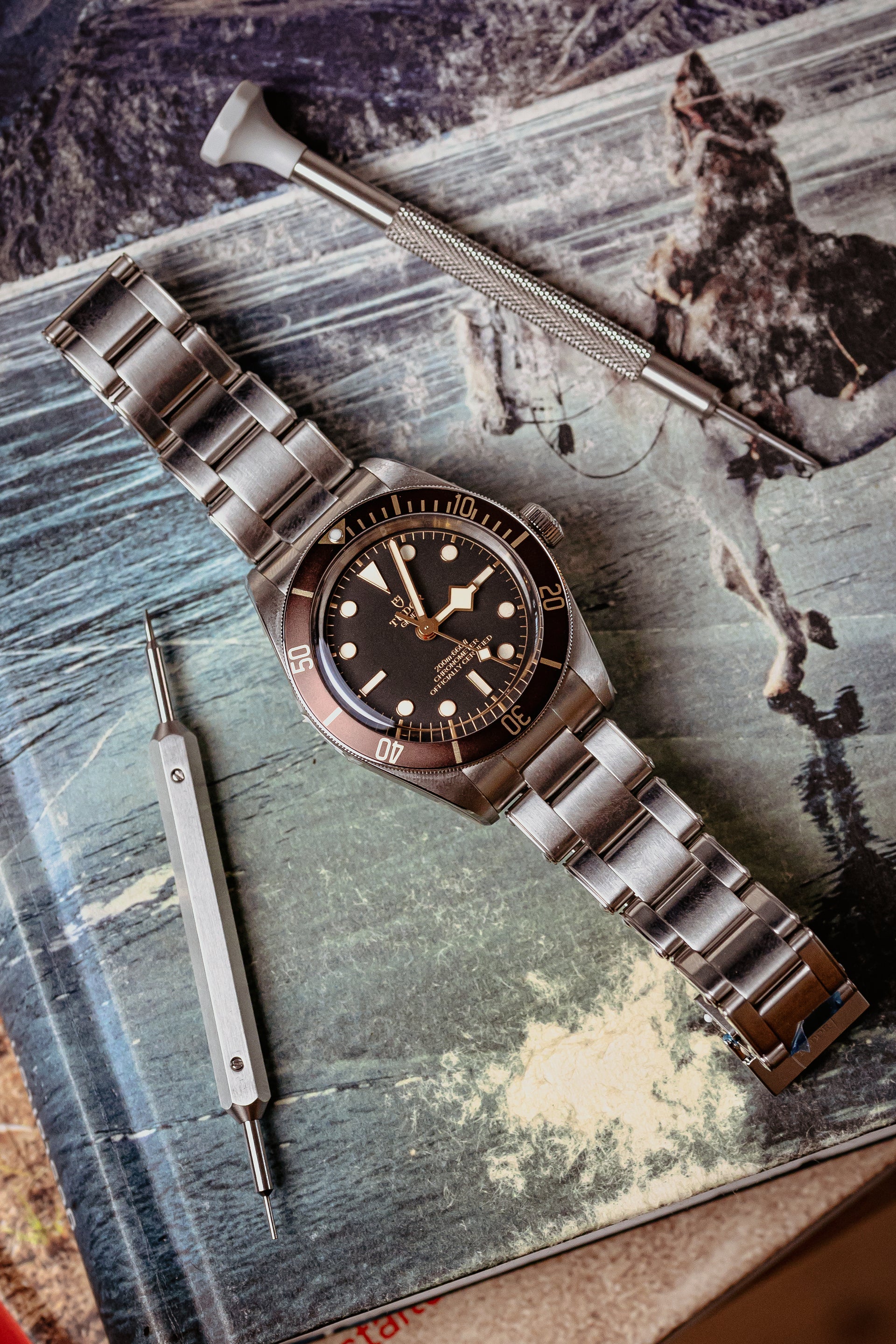 “Espresso” Gilded Precision Diving Bezel